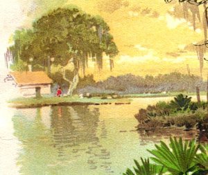 1880s Clark's ONT Spool Cotton Bayou Teche Louisiana Scene F115