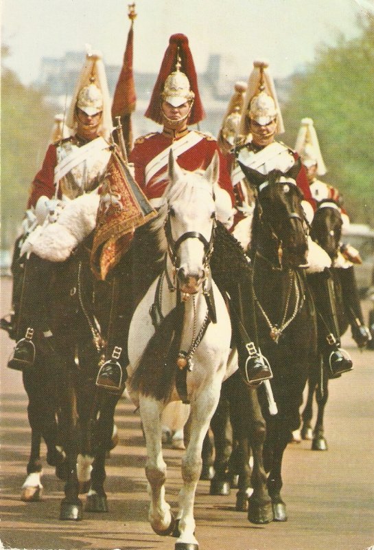 Horse Guards. The Blues and Royals. London  Nice English PC. Continental size