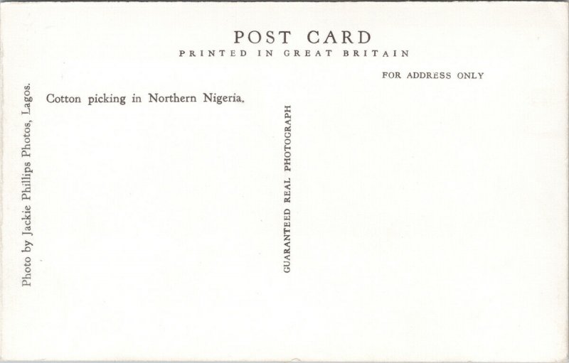 Woman Cotton Picking In Northern Nigeria Unused Jackie Philips RPPC Postcard F24