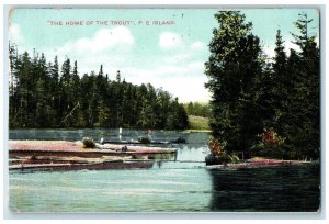 Prince Edward Island Canada Postcard The Home of the Trout c1910 Antique