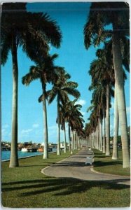 Beautiful Lake Trail along the Palm Beach Yacht Basin - Palm Beach, Florida