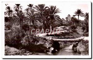 Old Postcard Algeria Palms Bridge