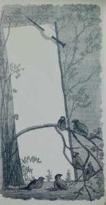 1880's Engraved Victorian Trade Card Woods Trees Birds P47