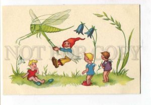 261913 Elf FAIRY Dwarf GNOME Hunt GRASSHOPPER Vintage postcard