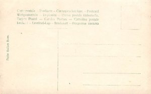 Three Cats Cat Postcard