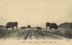 china, PEKING PEIPING 北京, Thirteen Tombs Ming Dynasty, Stone Elephants (1910s)