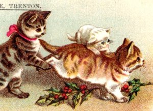 1880s-90s Donnelly Outfitter To Men & Boys Christmas Cats Holly F146