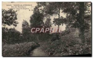 Old Postcard Vaux Cernay Bois des Marechaux A path in the ferns