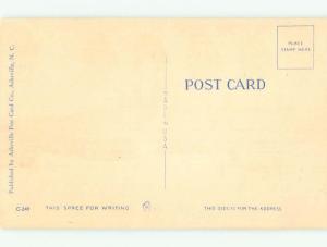 Linen Risque SEXY GIRL WITH HER PET DONKEY MULE AB6684