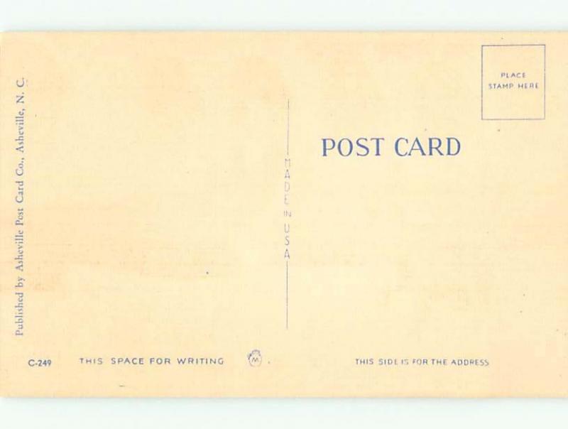 Linen Risque SEXY GIRL WITH HER PET DONKEY MULE AB6684