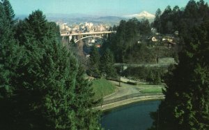 Vintage Postcard Guardian Mt. Hood From Washington Park Portland Oregon OR