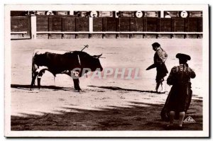 Old Postcard Bullfight Bullfight After the & # 39estocade