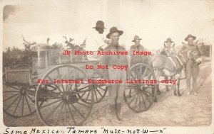 Mexico Border War, RPPC, US Army Soldiers with Mexican Tamers, Mule