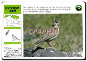 Map The Lark Hoopoe bird WWF