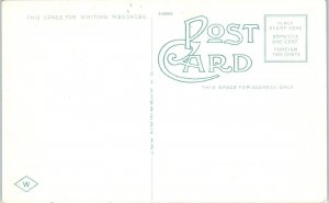 1920s Unloading Bananas Mobile Alabama Steamboat Postcard