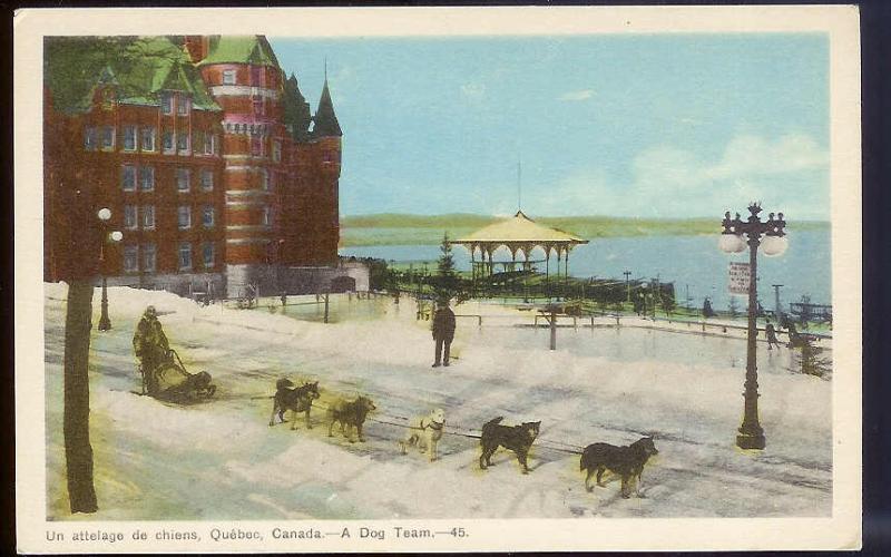 Dog Sled Team Quebec Canada unused 1940's