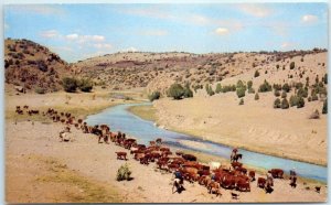 Postcard - Watering The Herd - Colorado Springs, Colorado