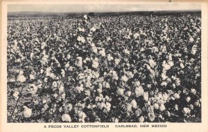 Carlsbad New Mexico Pecos Valley Cottonfield Scenic View Postcard AA19091