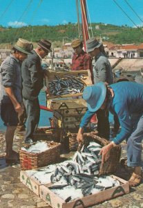 Barcelos Fishing Street Markets Portugal Postcard