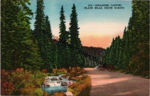 Spearfish Canyon Black Hills South Dakota Postcard PC313