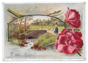 Antique Victorian Reward of Merit Girl Herding Geese PC Size Litho Card Unused
