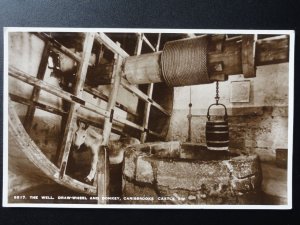Isle of Wight: Carisbrooke Castle, The Well, Draw-Wheel & Donkey Old RP Postcard
