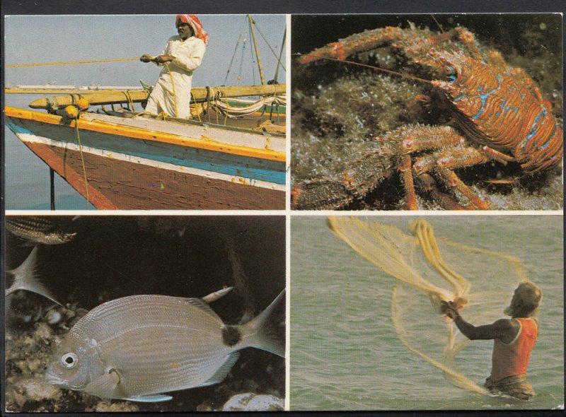 Saudi Arabia Postcard -  Views of Fishing  Y75