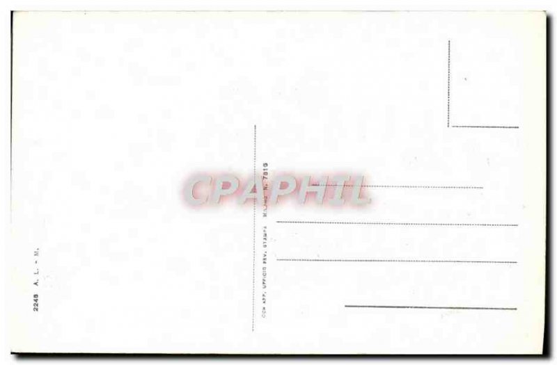 Old Postcard Fancy Cows Basque Country