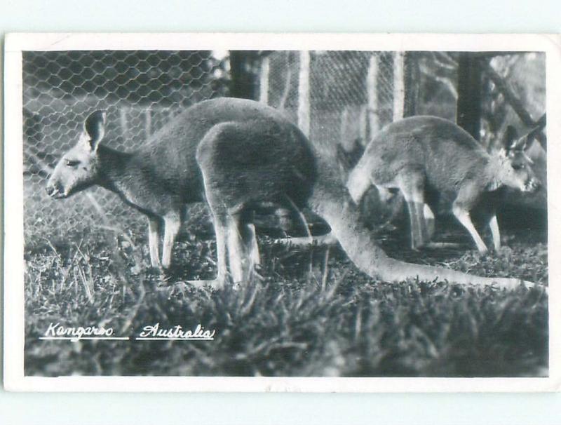 old rppc NICE VIEW Postmarked Sydney Australia i3482