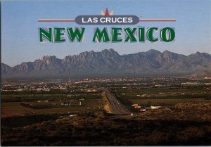 Continental Postcard Las Cruces, New Mexico CF1