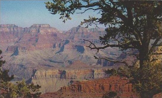 Arizona Grand Canyon Of Northern Arizona