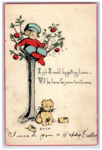 1914 Easter Dutch Boy On Top Of Apple Tree Dog Muncie Indiana IN Posted Postcard