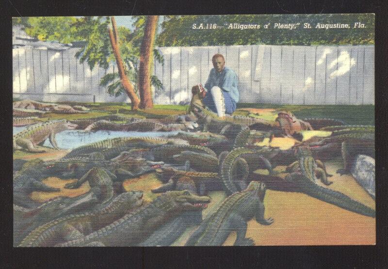 ST. AUGUSTINE FLORIDA ALLIGATOR FARM BLACK AMERICANA BLACK BOY POSTCARD