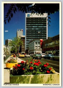 Portage Avenue Looking East, Winnipeg, Manitoba, Chrome Postcard #2