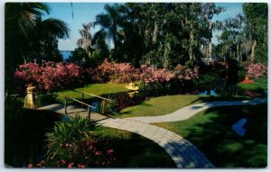 M-55422 A myriad of tropical flowers at Cypress Gardens Florida