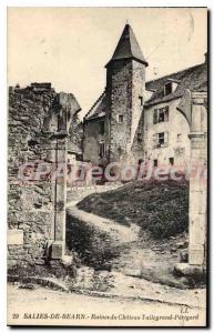 Postcard Old Salies de Bearn Ruins of Chateau Talleyrand Perigord