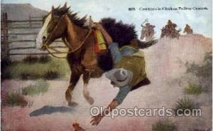 Chicken Pulling Contest, Western Cowboy Cowgirl Postcard Postcards  Chicken P...
