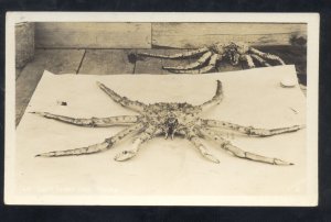 RPPC ALASKA SNOW CRAB FISHING VINTAGE REAL PHOTO POSTCARD