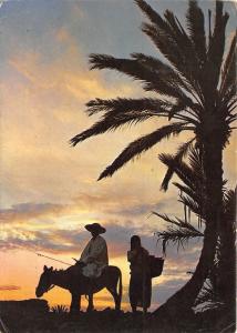 BR30039 Coucher de soleil tunisie donkey anne Tunisia