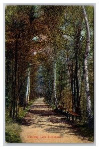 Path to Eichhäuset Bad Rappenau Baden-Württemberg Germany UNP DB Postcard R29