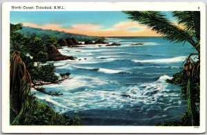 North Coast Trinidad B.W.I. Port of Spain Attraction View Postcard