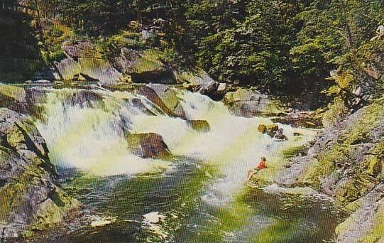 North Carolina Great Smorky Mountains National Park