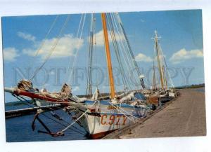 203242 CUBA BATABANO sponge & sea-fish port Vintage postcard