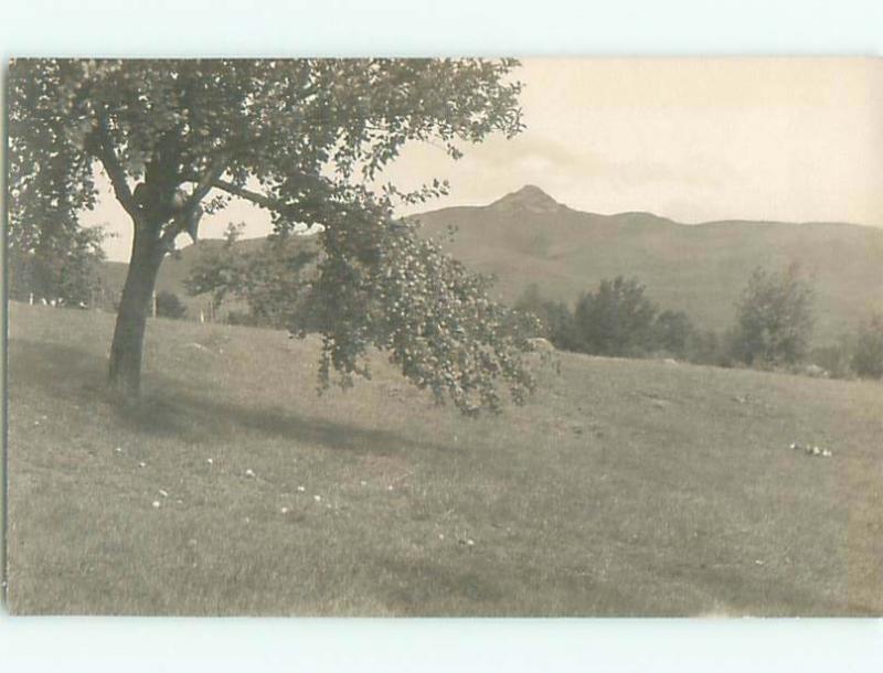 Old rppc NATURE SCENE Great Postcard AB0662