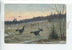 3182977 RUSSIA Zvorykin HUNT BIRDS capercaillie blackcock old