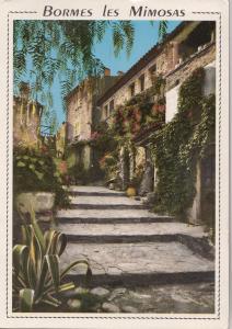 BF21222 bormes les mimosas lou poulid cantoun   france  front/back image