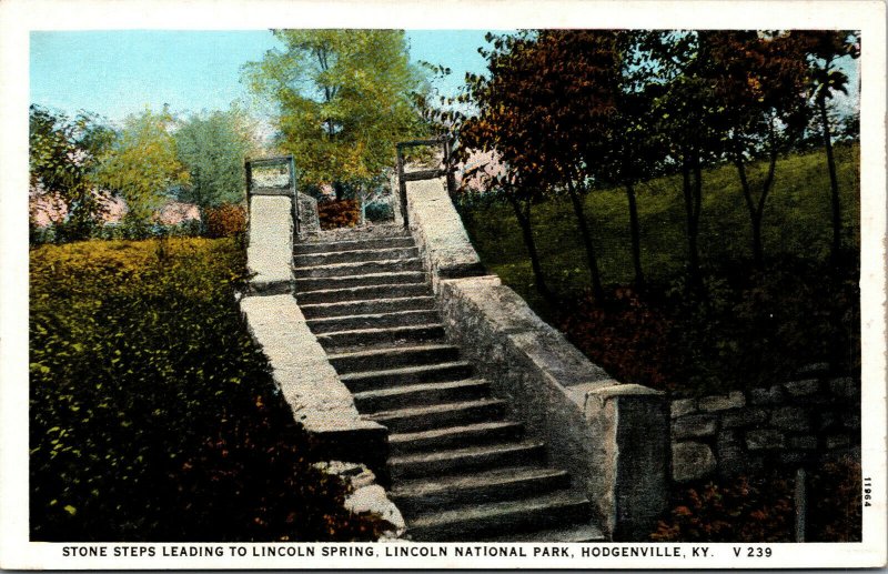 Vtg 1920s Steps to Spring Lincoln National Park Hodgenville Kentucky KY Postcard