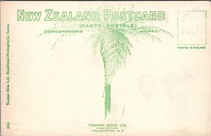 RPPC Postcard Overlooking the Waitemata Auckland New Zealand