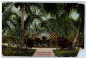 1914 Pathway Colonial Hotel Grounds Nassau Bahamas Posted Antique Postcard