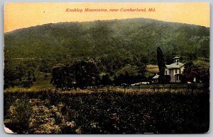 Vtg Cumberland Maryland MD Knobley Mountains House Field 1910s View Postcard